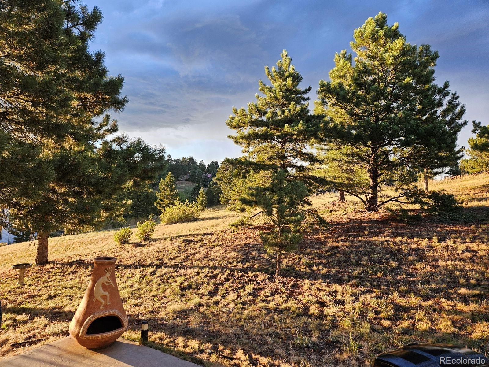 386 Monte Vista Road Golden, CO 80401 - Photo 29 of 35