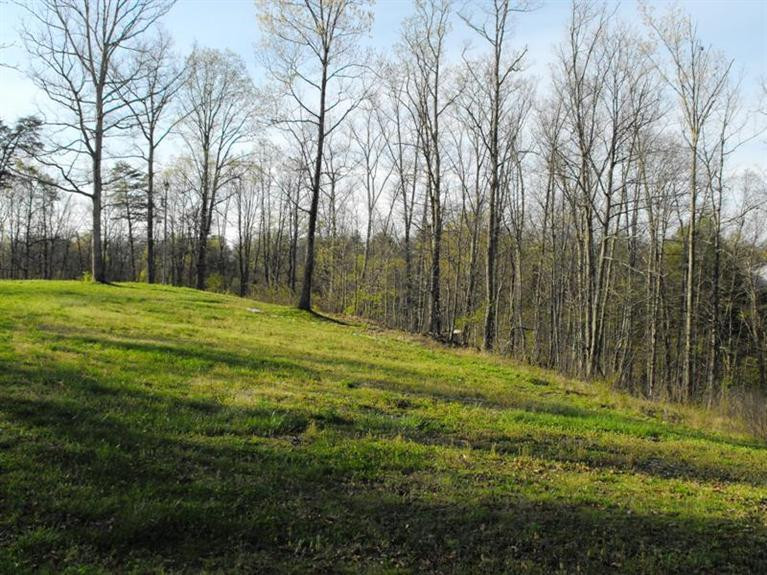 851 Virden Ridge Road Clay City, KY 40312 - Photo 8 of 19 Photo 8