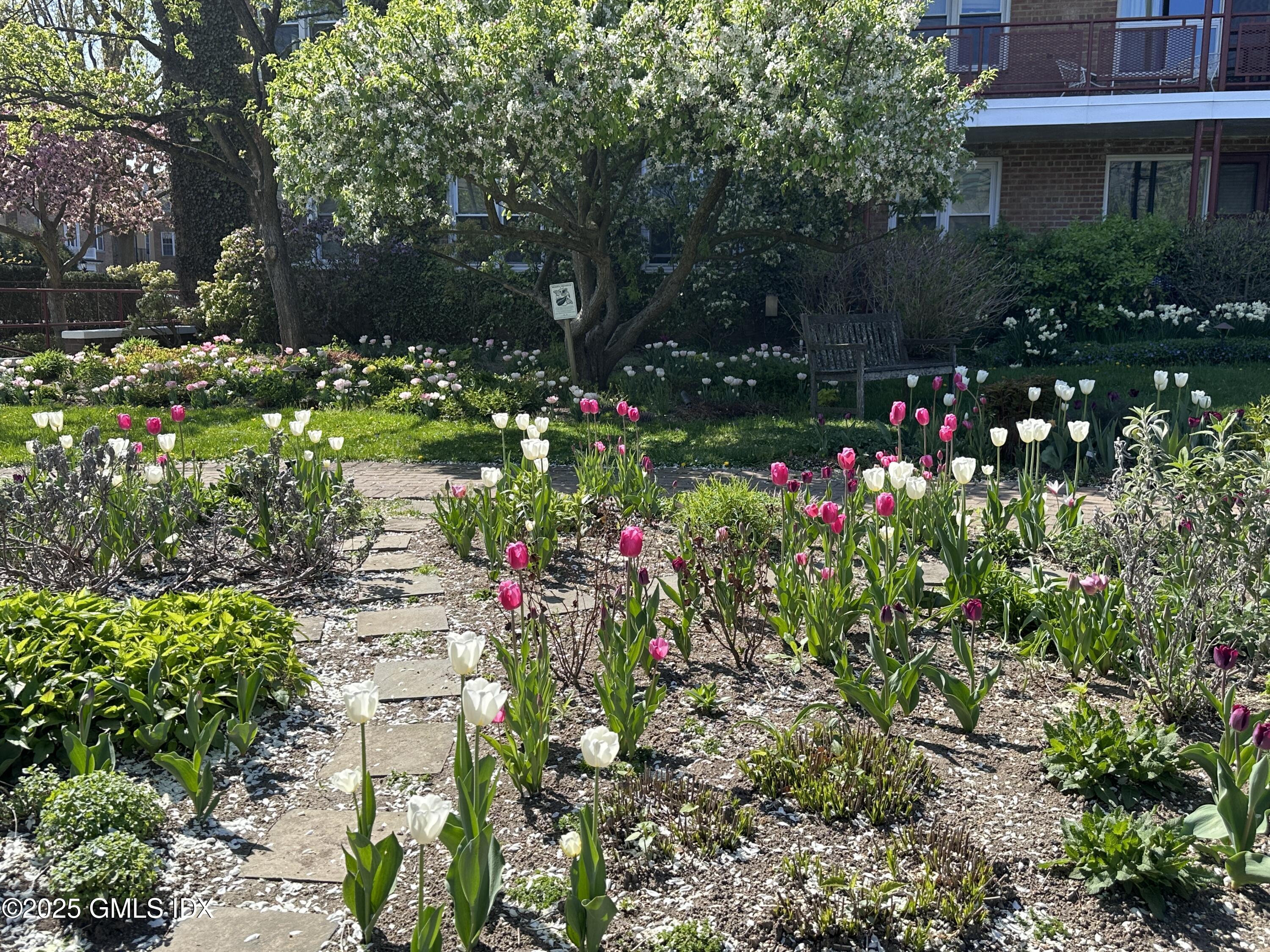 20 Brookside Drive, Unit 3D Greenwich, CT 06830 - Photo 15 of 24 a view of a flower in a garden