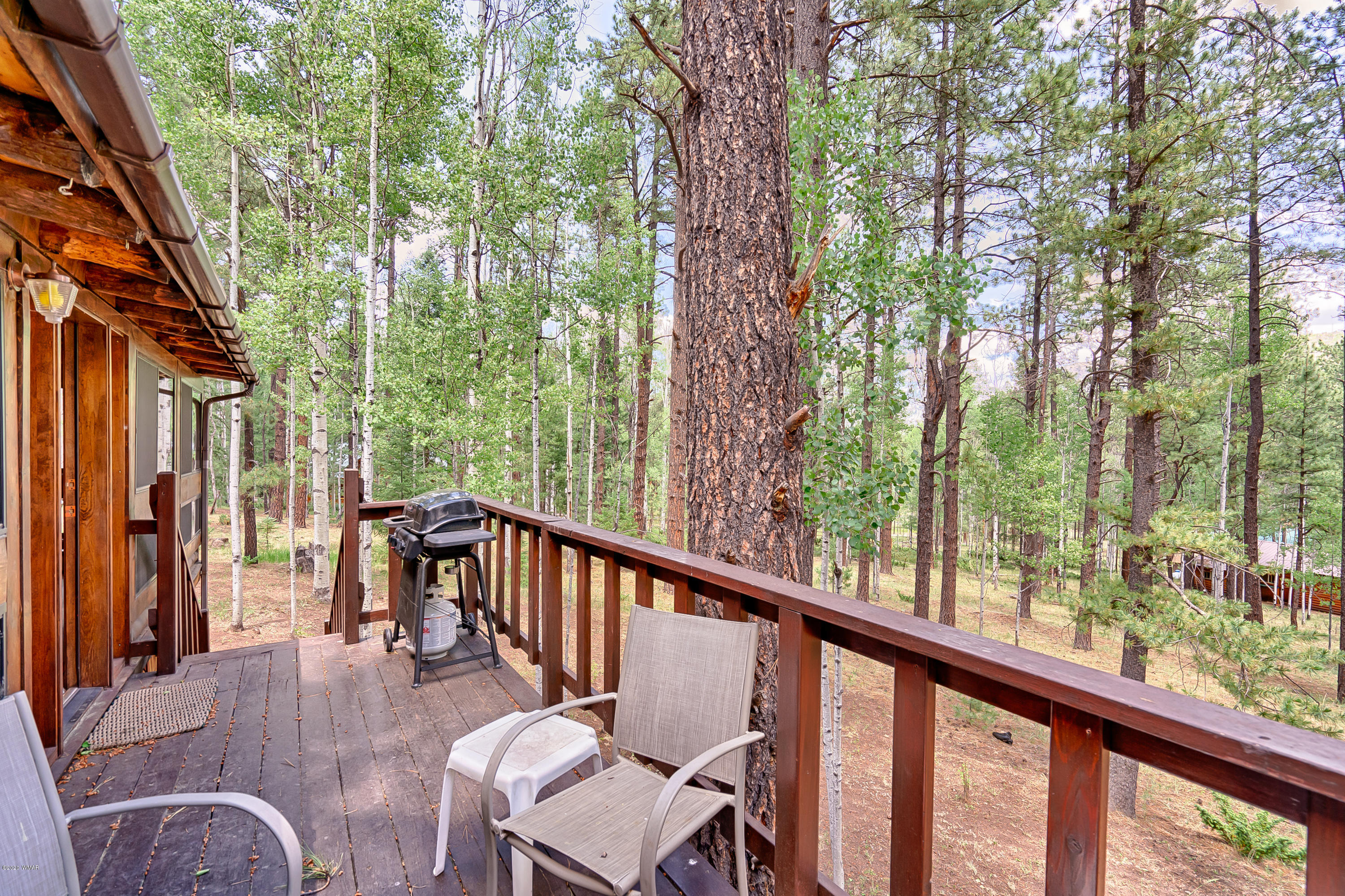 2 1007 Greer, AZ 85927 - Photo 4 of 15