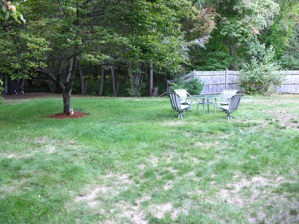 17 Ruthellen Road Holliston, MA 01746 - Photo 8 of 30 Gallery Image 8