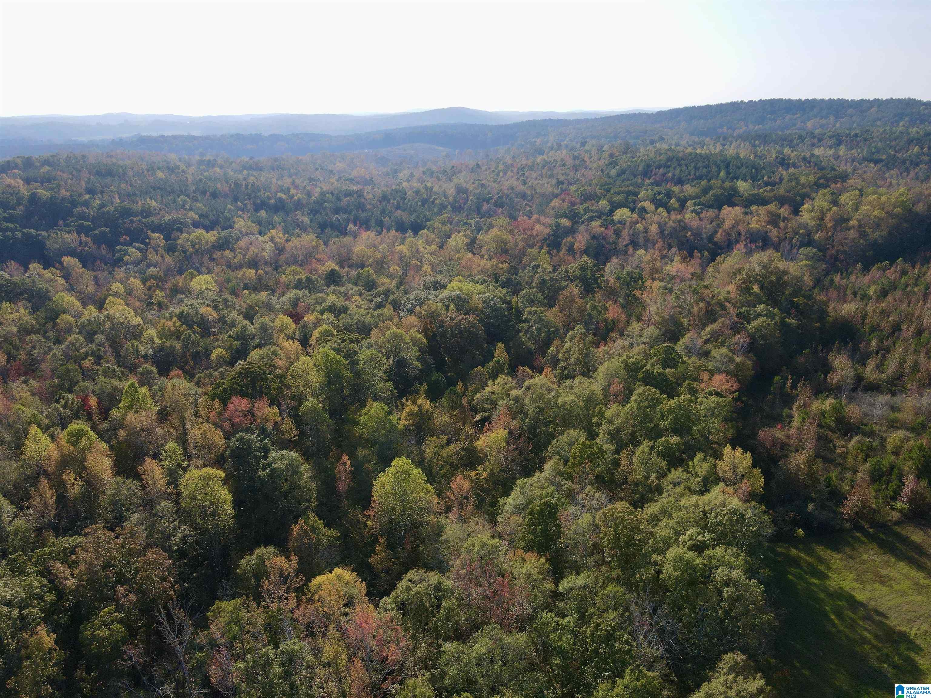 0 Peach Orchard Road Ashland, AL 36251 - Photo 1 of 14