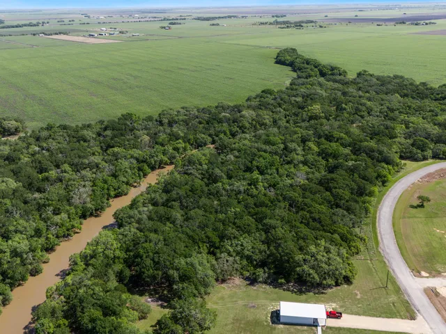 a view of a lush green forest with lots of trees