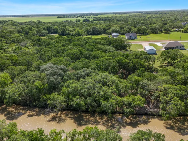 a view of a grassy field with trees