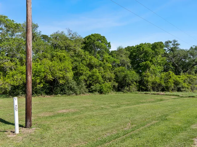 a yard with lots of trees in the background