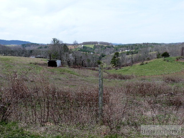 Moxley Ridge Road Sparta, NC 28675 - Photo 1 of 16 a view of a outdoor space