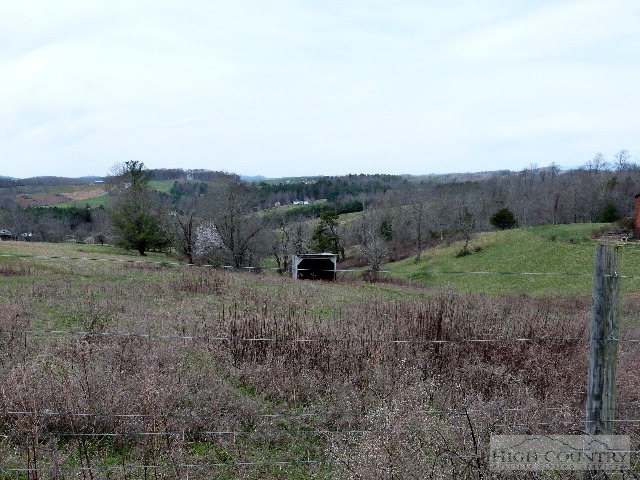 Moxley Ridge Road Sparta, NC 28675 - Photo 13 of 16 a view of a dry yard with green space