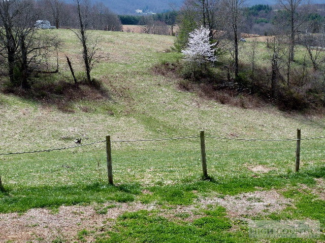 Moxley Ridge Road Sparta, NC 28675 - Photo 8 of 16 a backyard of a house with lots of green space