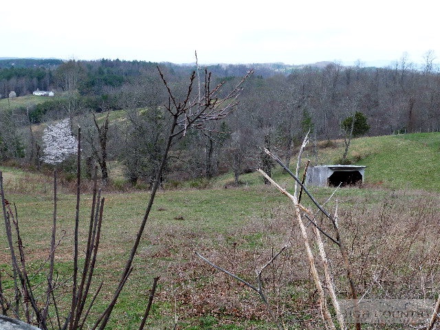 Moxley Ridge Road Sparta, NC 28675 - Photo 10 of 16 a view of a backyard