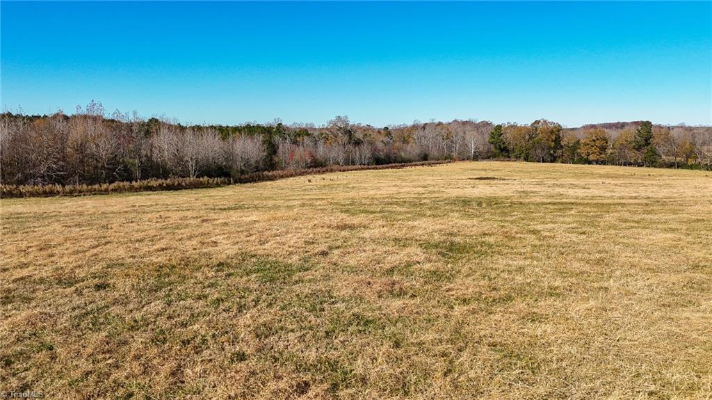 6436 Beulah Church Road Liberty, NC 27298 - Photo 15 of 24