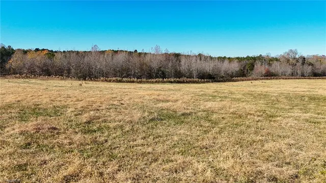 $700,000 | 6436 Beulah Church Road, Liberty, NC 27298