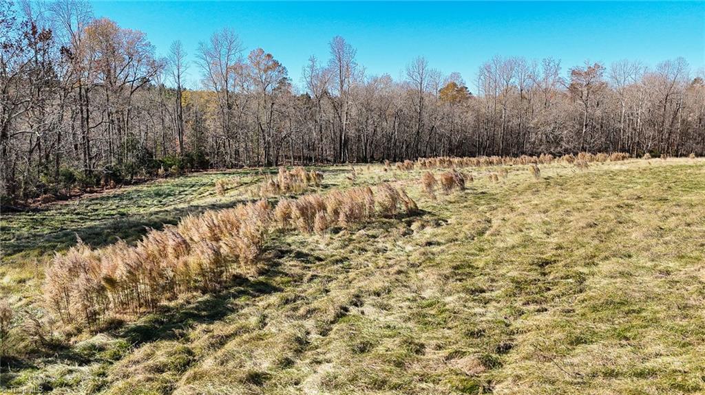 6436 Beulah Church Road Liberty, NC 27298 - Photo 19 of 24