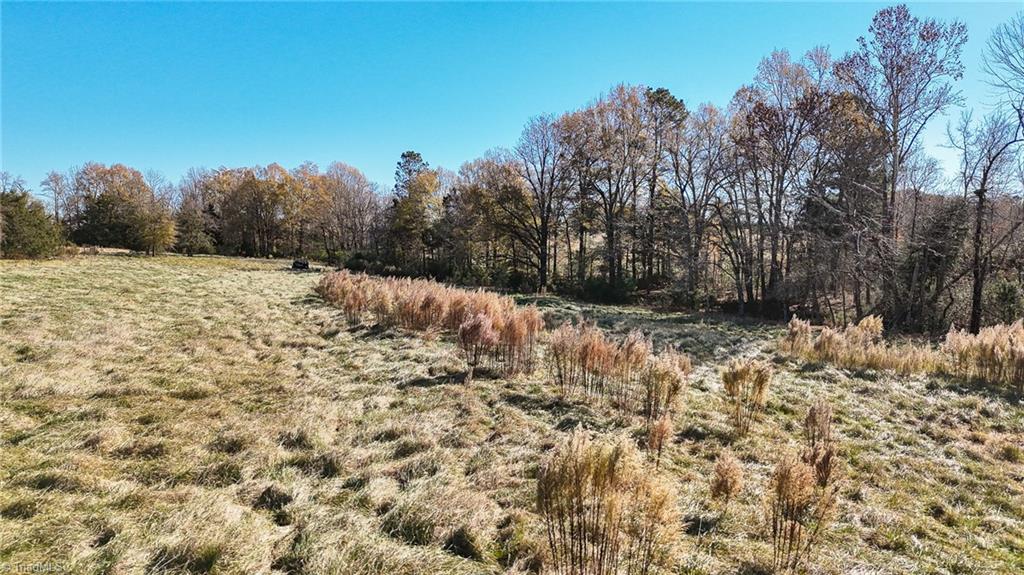 6436 Beulah Church Road Liberty, NC 27298 - Photo 20 of 24