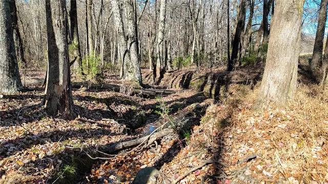 $700,000 | 6436 Beulah Church Road, Liberty, NC 27298