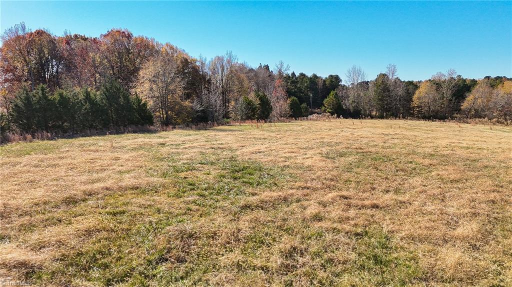 6436 Beulah Church Road Liberty, NC 27298 - Photo 9 of 24