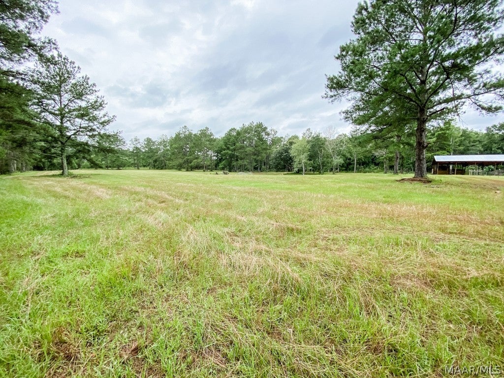 354 River Road Samson, AL 36477 - Photo 56 of 66 Gallery Image 56