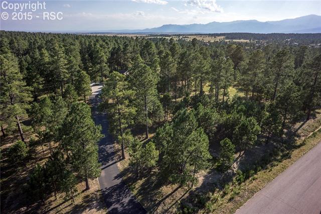 11667 Shaugnessy Road Colorado Springs, CO 80908 - Photo 4 of 4 Gallery Image 4