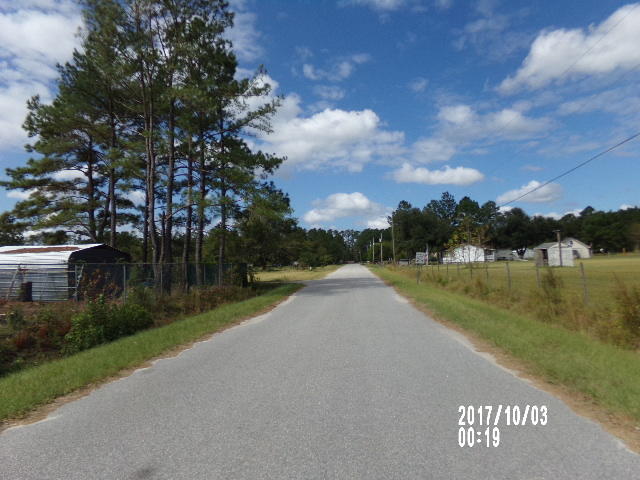 110 Danville Road Walterboro, SC 29488 - Photo 6 of 13 040