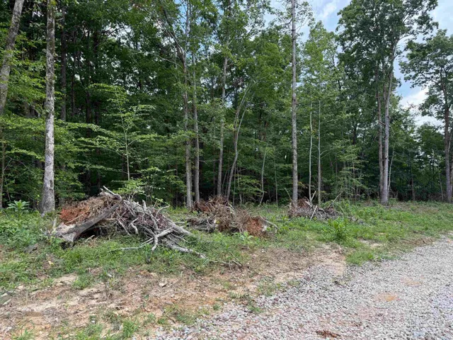 a view of backyard with green space