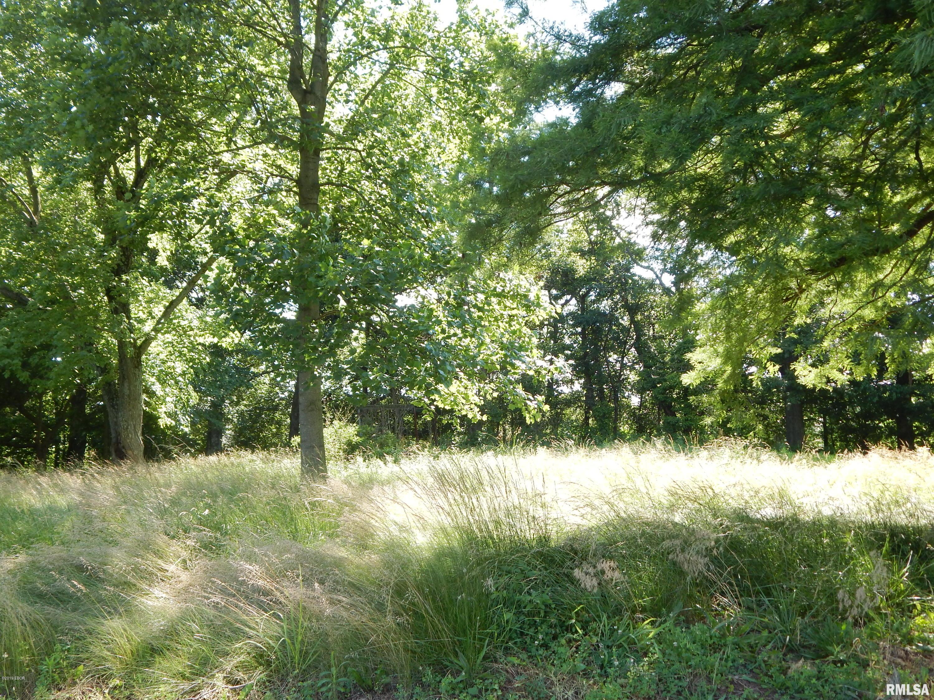 3561 Wards Mill Road Marion, IL 62959 - Photo 4 of 17 Gallery Image 4