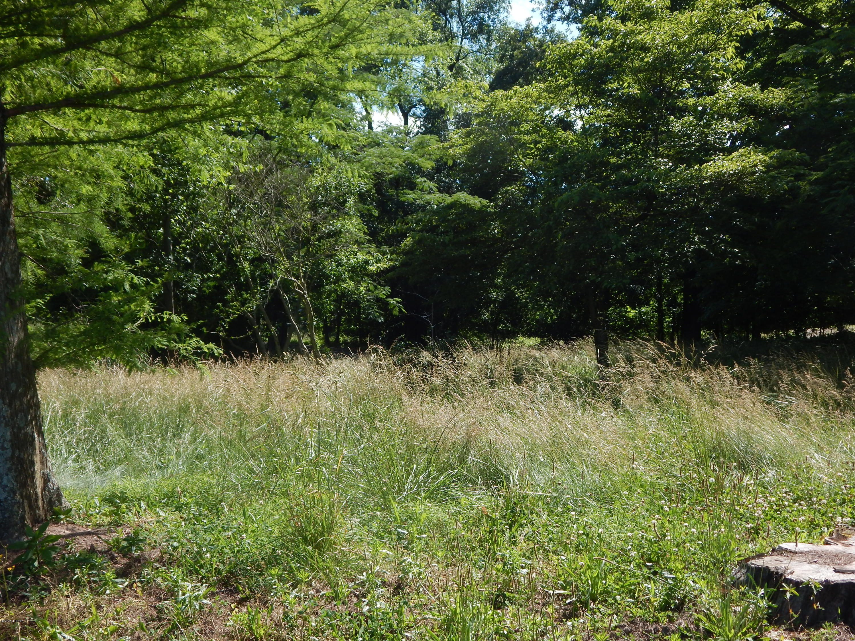 3561 Wards Mill Road Marion, IL 62959 - Photo 7 of 17 Gallery Image 7