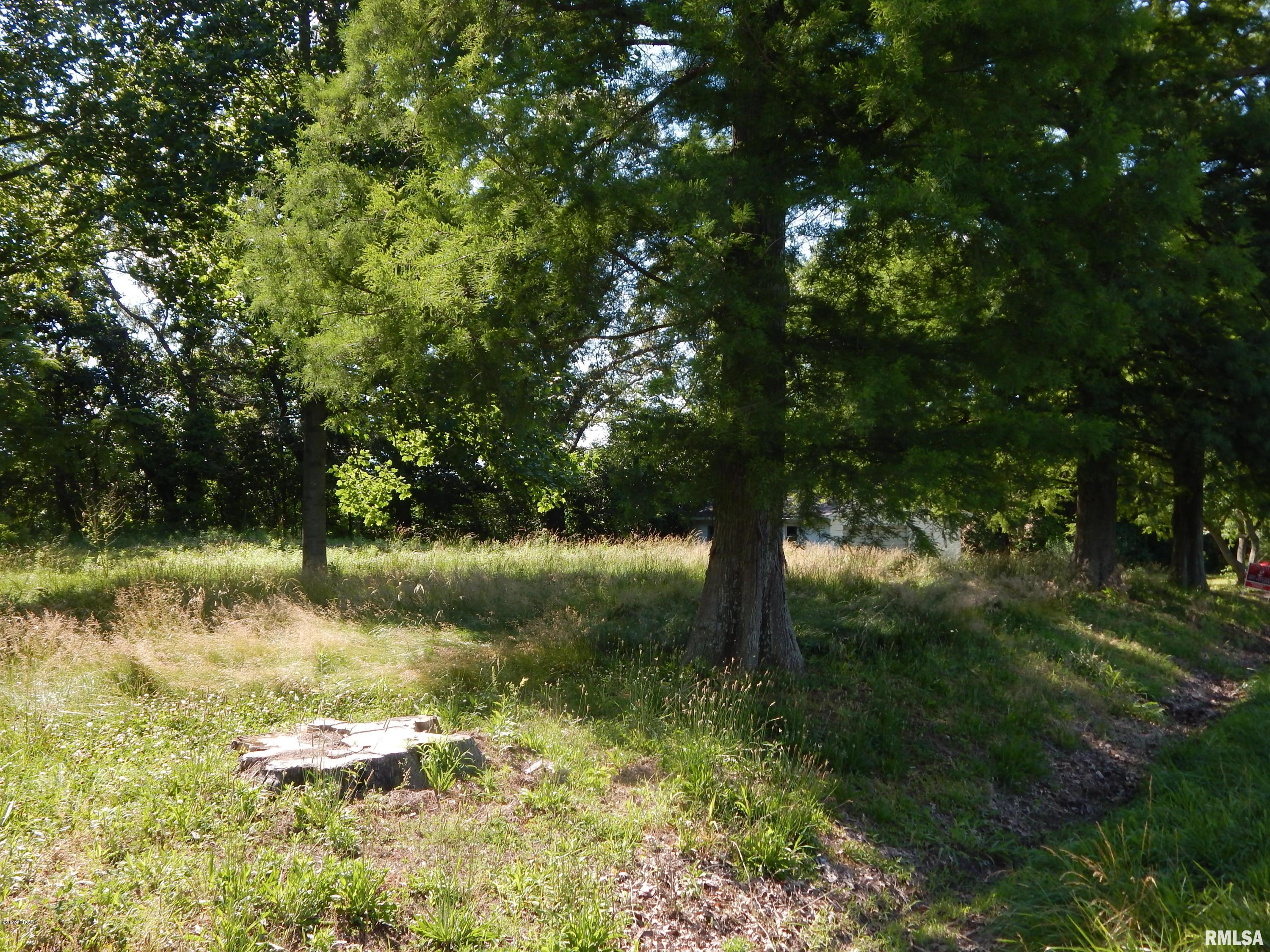 3561 Wards Mill Road Marion, IL 62959 - Photo 9 of 17 Gallery Image 9