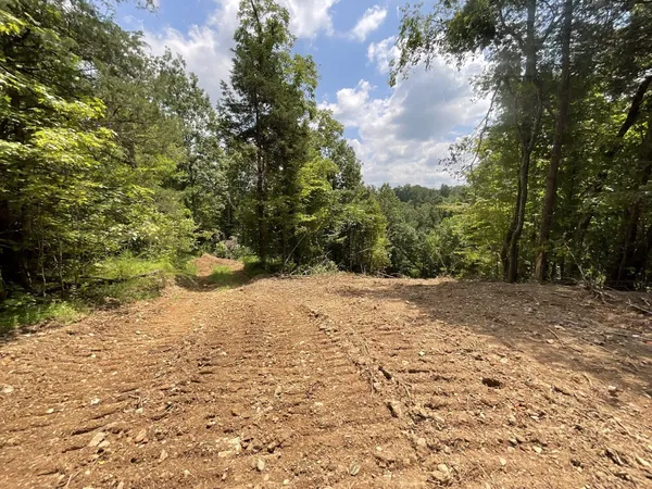 $110,000 | 1 Lyle Hollow Road, Palmyra, TN 37142