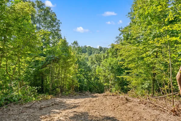 $110,000 | 1 Lyle Hollow Road, Palmyra, TN 37142
