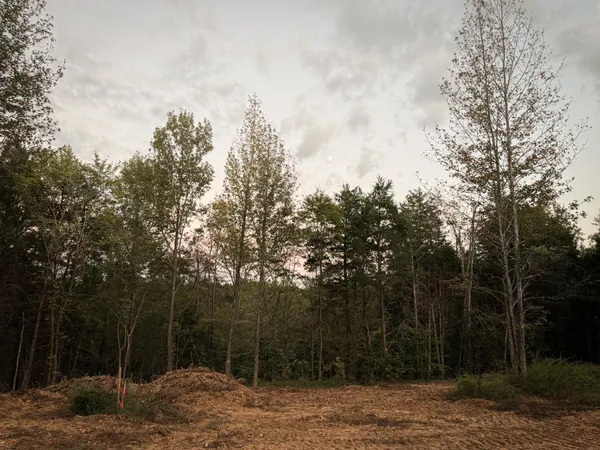 $110,000 | 1 Lyle Hollow Road, Palmyra, TN 37142