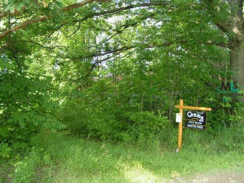 0 Irwin Road Armada, MI 48005 - Photo 1 of 3 884134.JPG