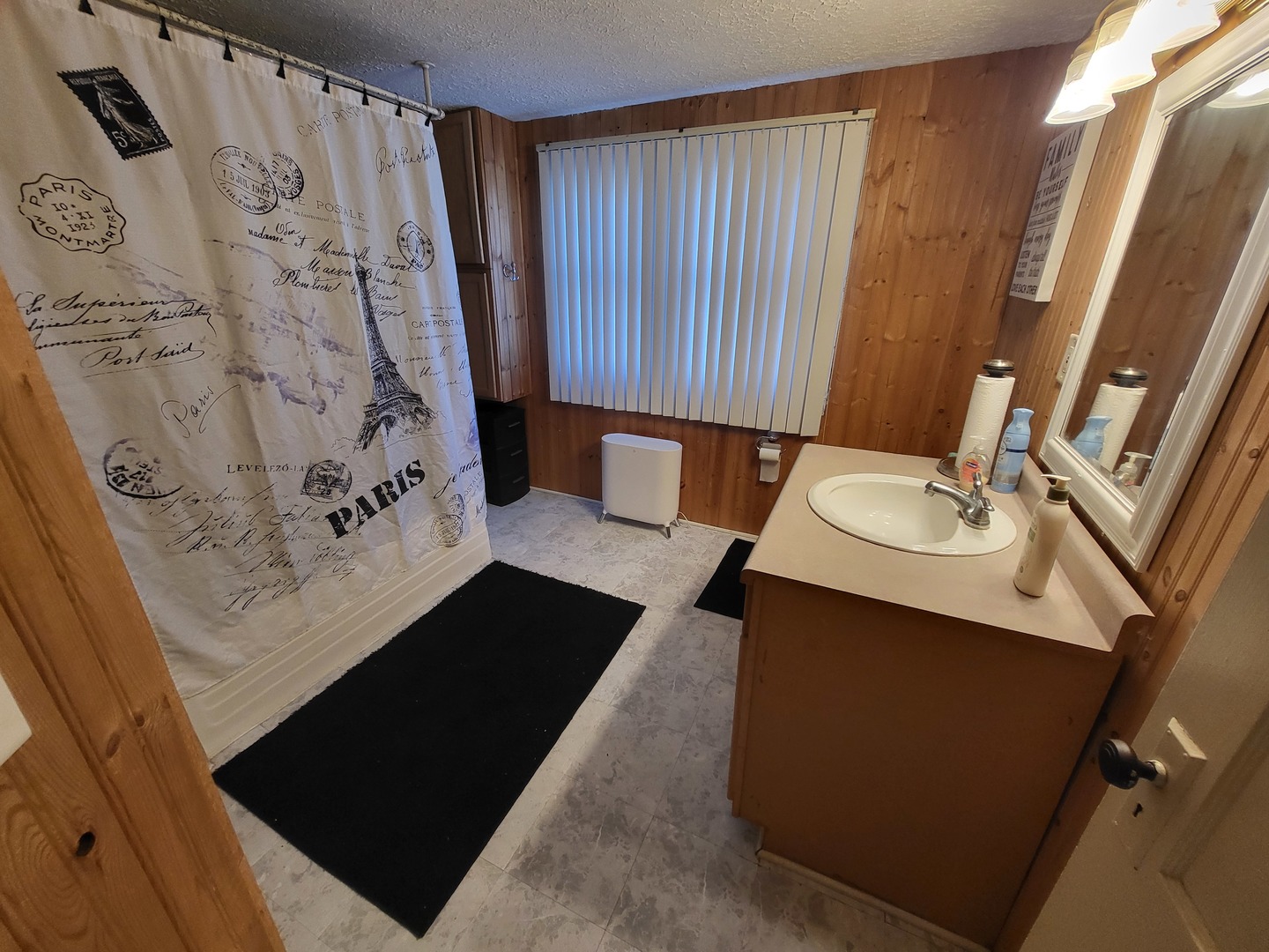 1204 North Center Street Joliet, IL 60435 - Photo 10 of 13 a bathroom with a sink and a mirror