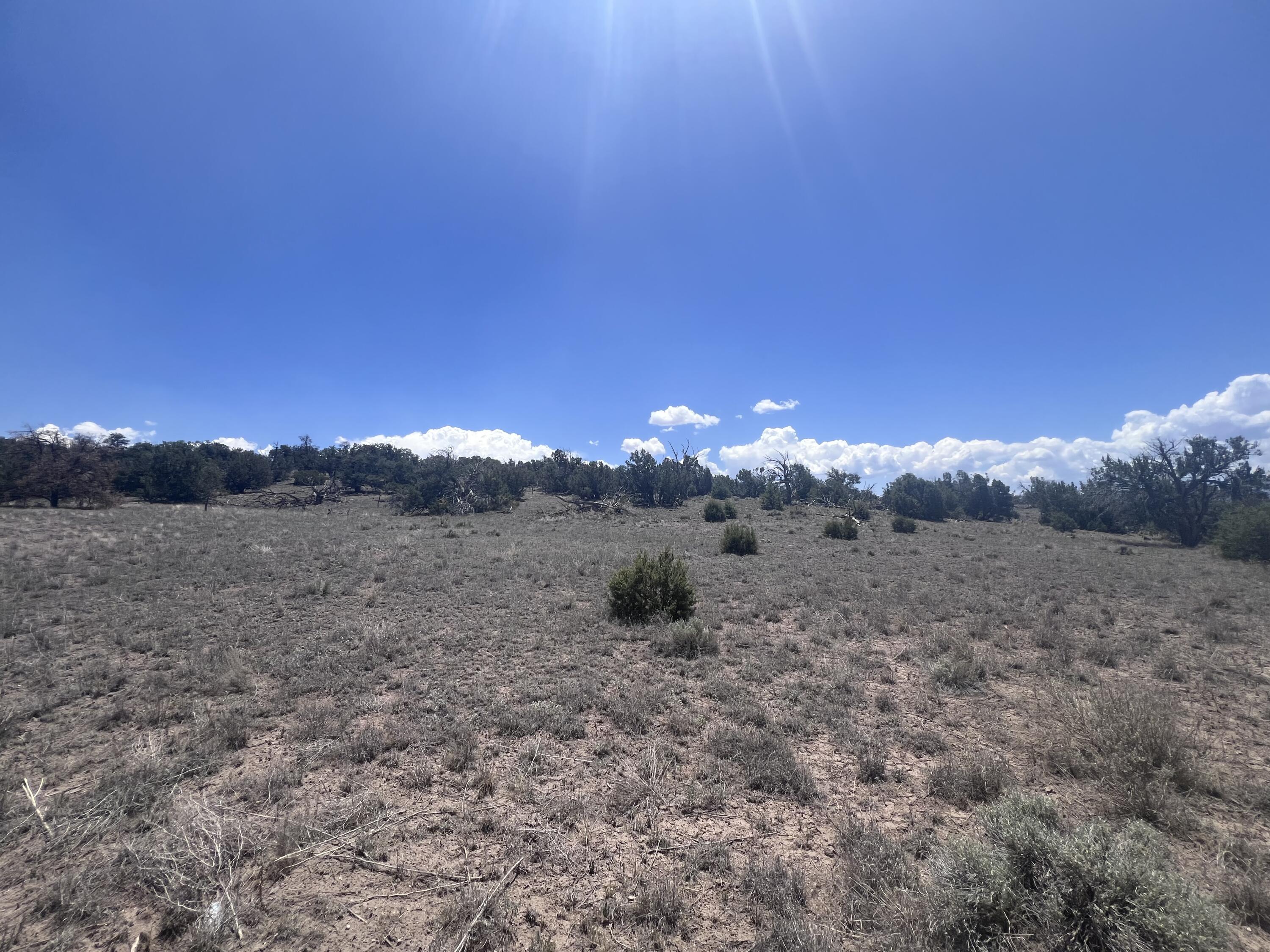 Omega Road Quemado, NM 87829 - Photo 9 of 21 Gallery Image 9