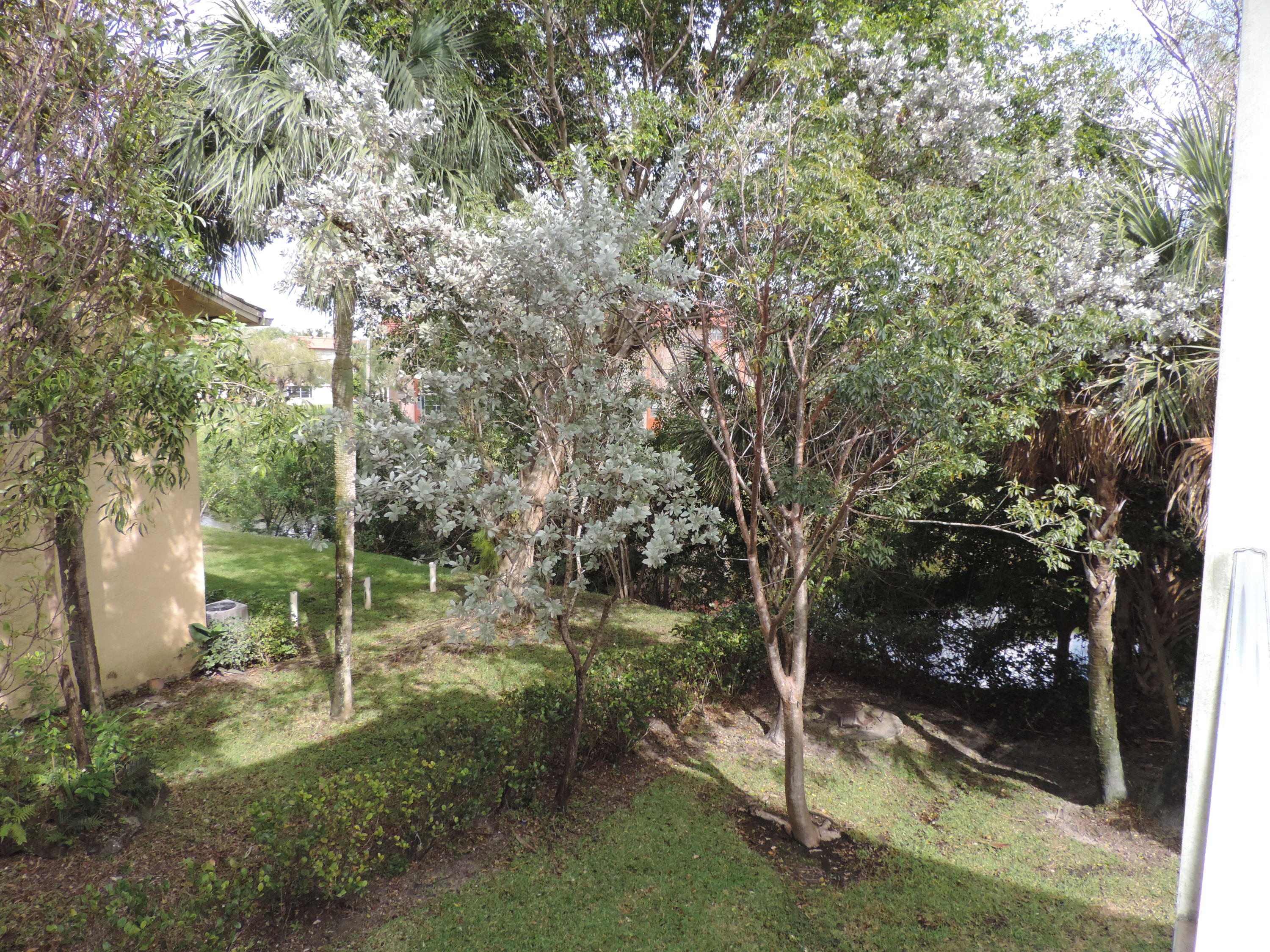 2941 Riverside Drive, Unit 204 Coral Springs, FL 33065 - Photo 37 of 39 DSCN8249