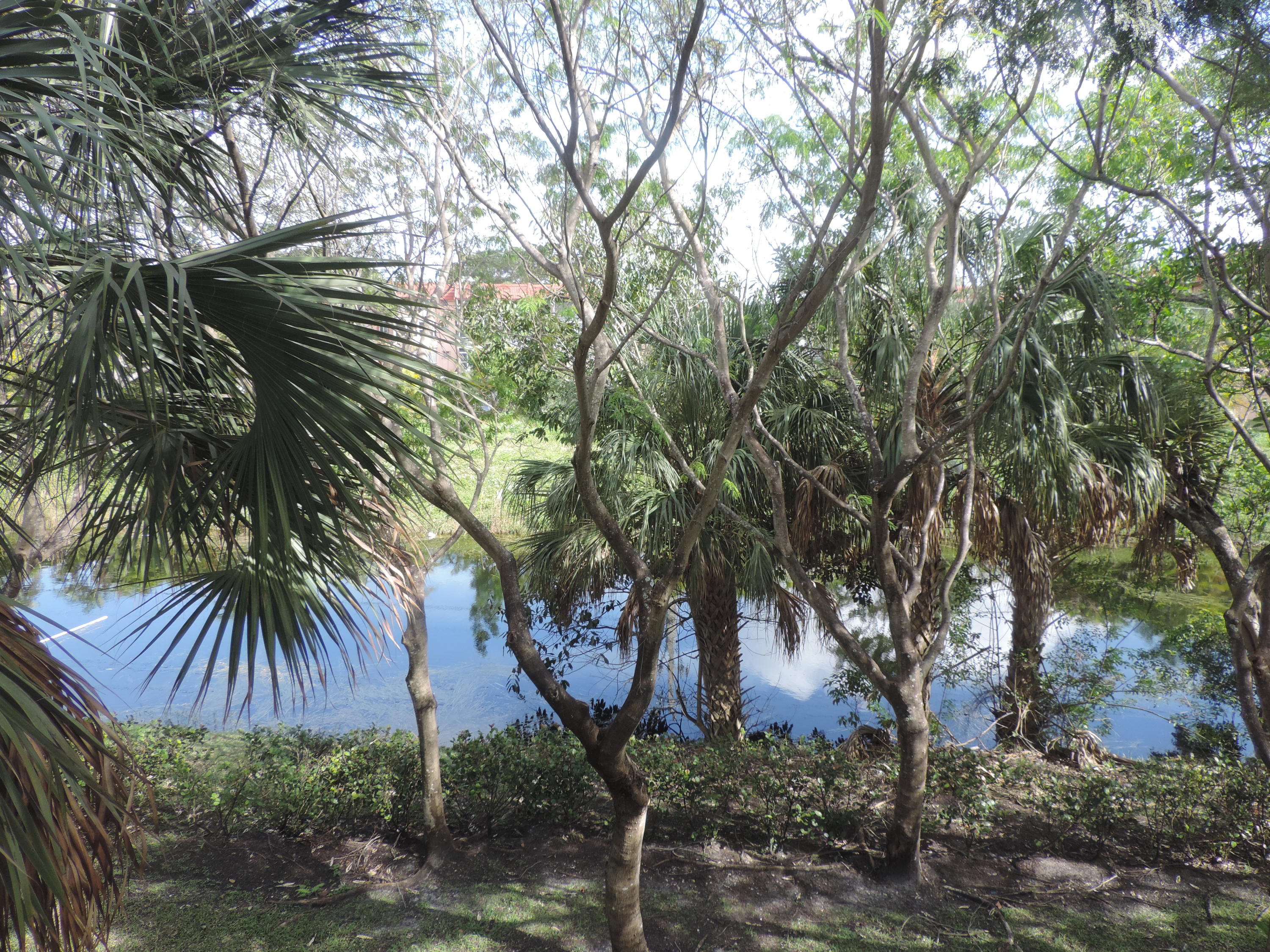 2941 Riverside Drive, Unit 204 Coral Springs, FL 33065 - Photo 6 of 39 DSCN8212