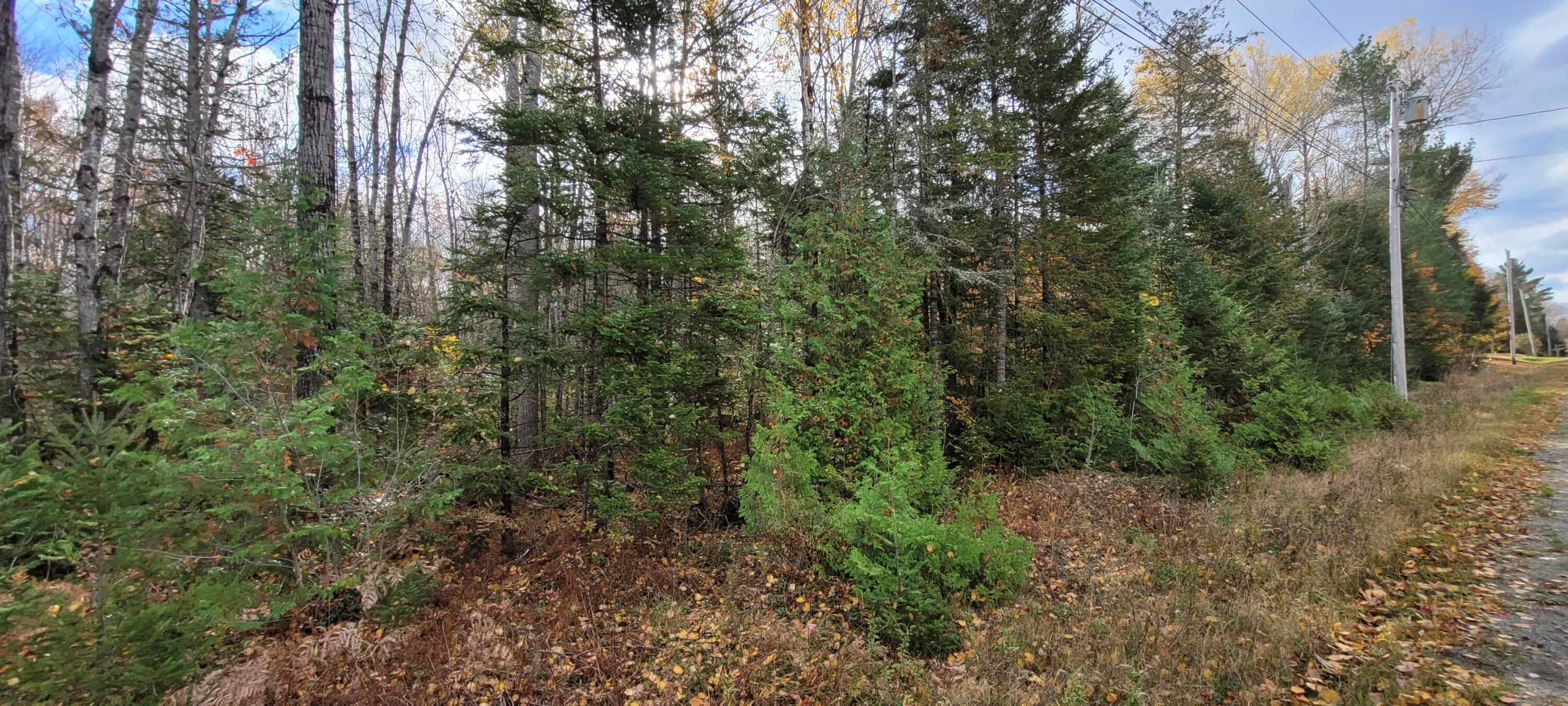 0 Storer Road Bradford, ME 04410 - Photo 13 of 27 20211019_095756