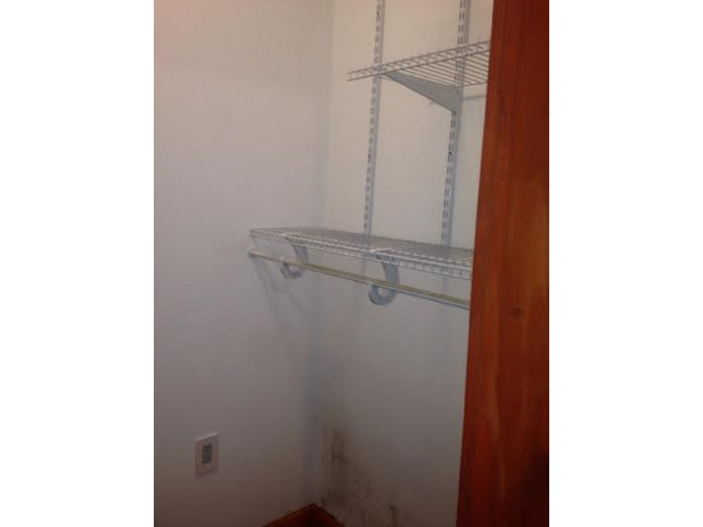 16227 Bull Run Road St. Paul, VA 24283 - Photo 17 of 27 Walkin Closet