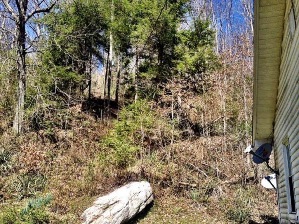 16227 Bull Run Road St. Paul, VA 24283 - Photo 21 of 27 Mountainous Acerage