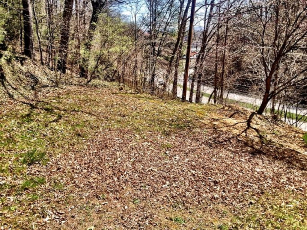 16227 Bull Run Road St. Paul, VA 24283 - Photo 26 of 27 Side Yard