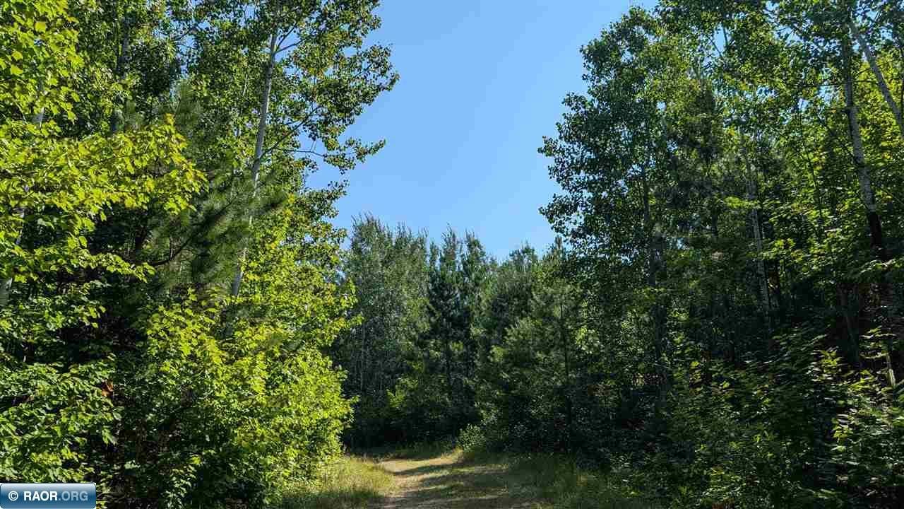 Tbd Kennedy Road Cook, MN 55723 - Photo 5 of 6 Gallery Image 5