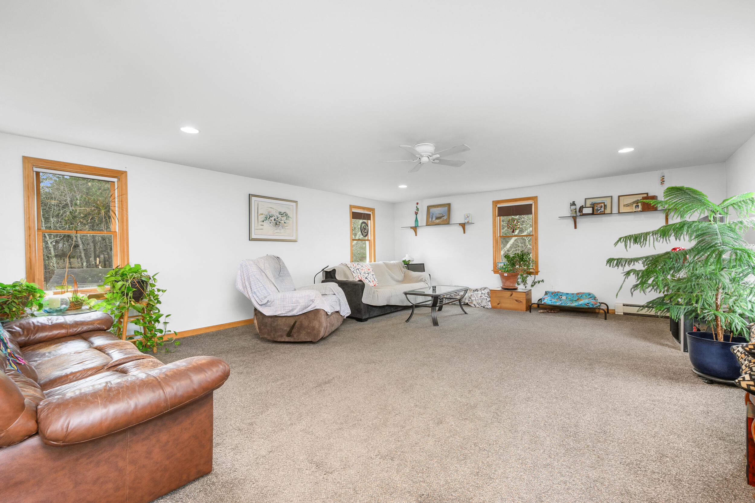 2 Short Lots Lane Truro, MA 02666 - Photo 8 of 66 a living room with furniture and a potted plant