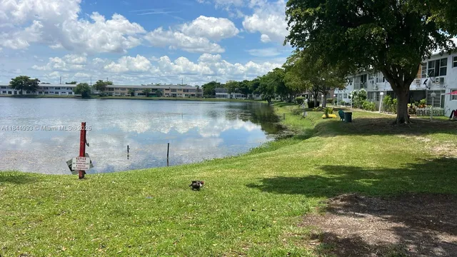 a lake view with a bench and trees around