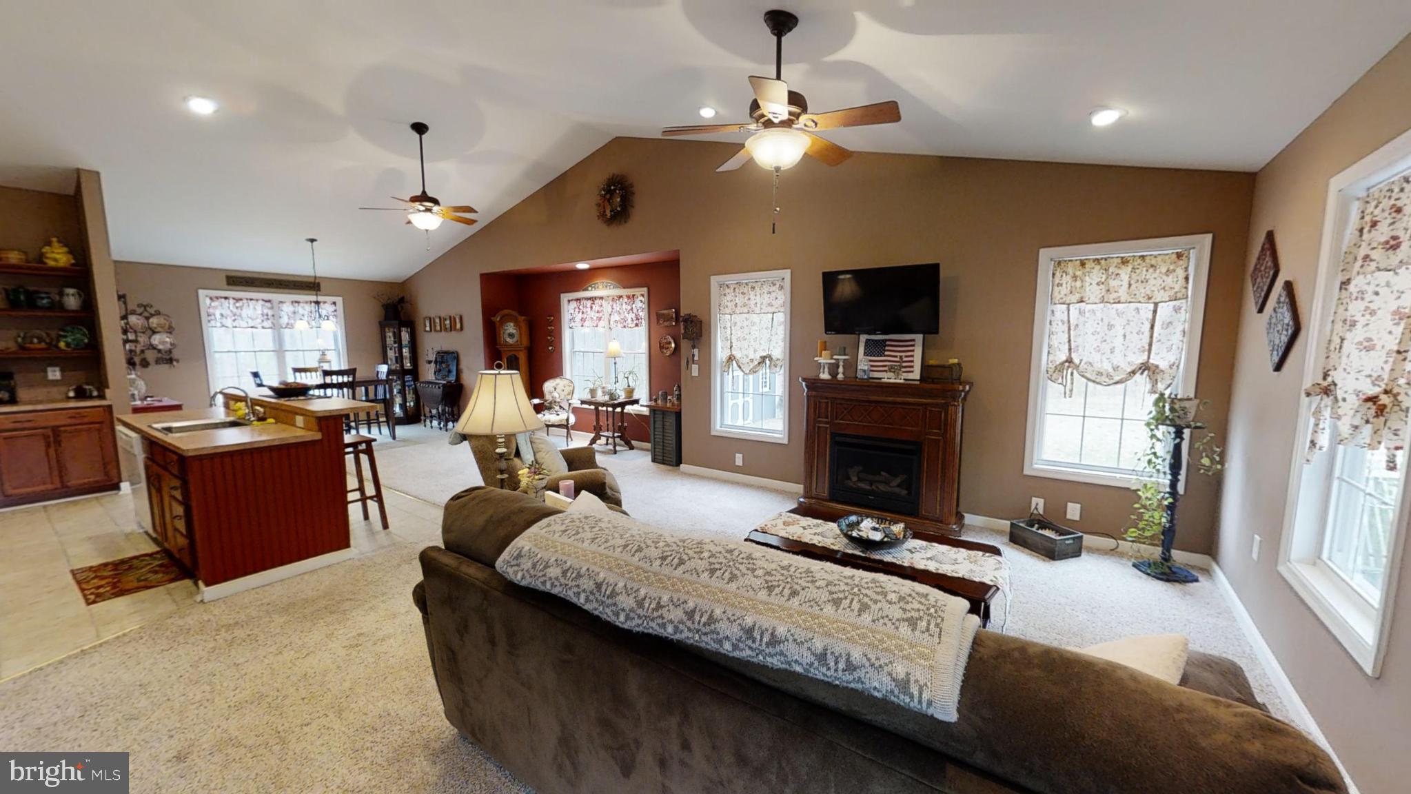 839 Daniel Road Louisa, VA 23093 - Photo 3 of 31 a living room with furniture a fireplace and a flat screen tv