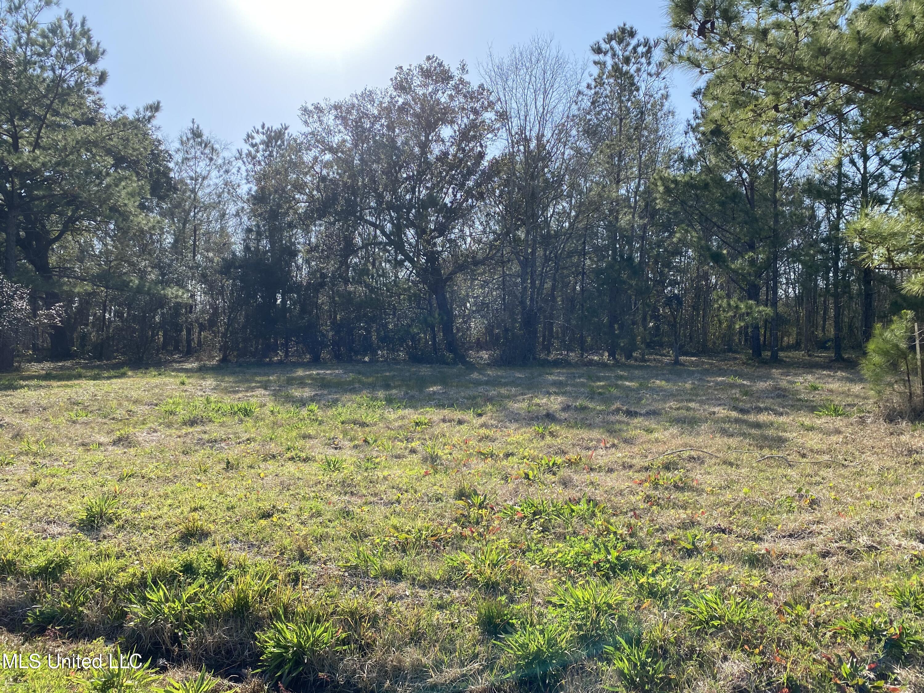 Lepoma Avenue Biloxi, MS 39532 - Photo 3 of 5 4094BBCD-3366-4AAE-BAED-CDF1E32941C5