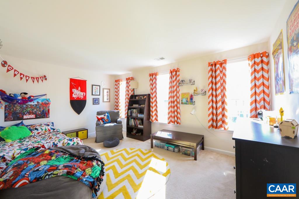 309 Ridgemont Road Ruckersville, VA 22968 - Photo 20 of 29