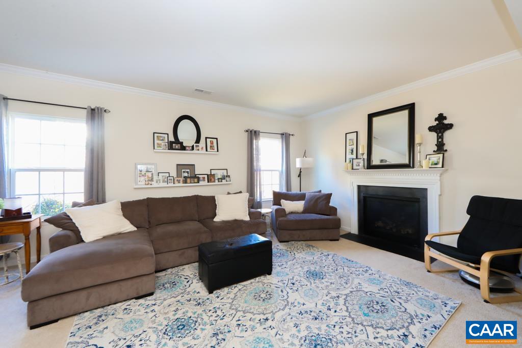 309 Ridgemont Road Ruckersville, VA 22968 - Photo 8 of 29 a living room with furniture or couch and a fireplace
