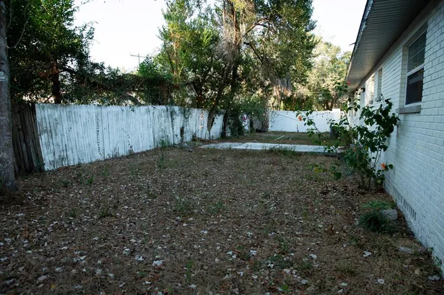 a view of backyard with tree