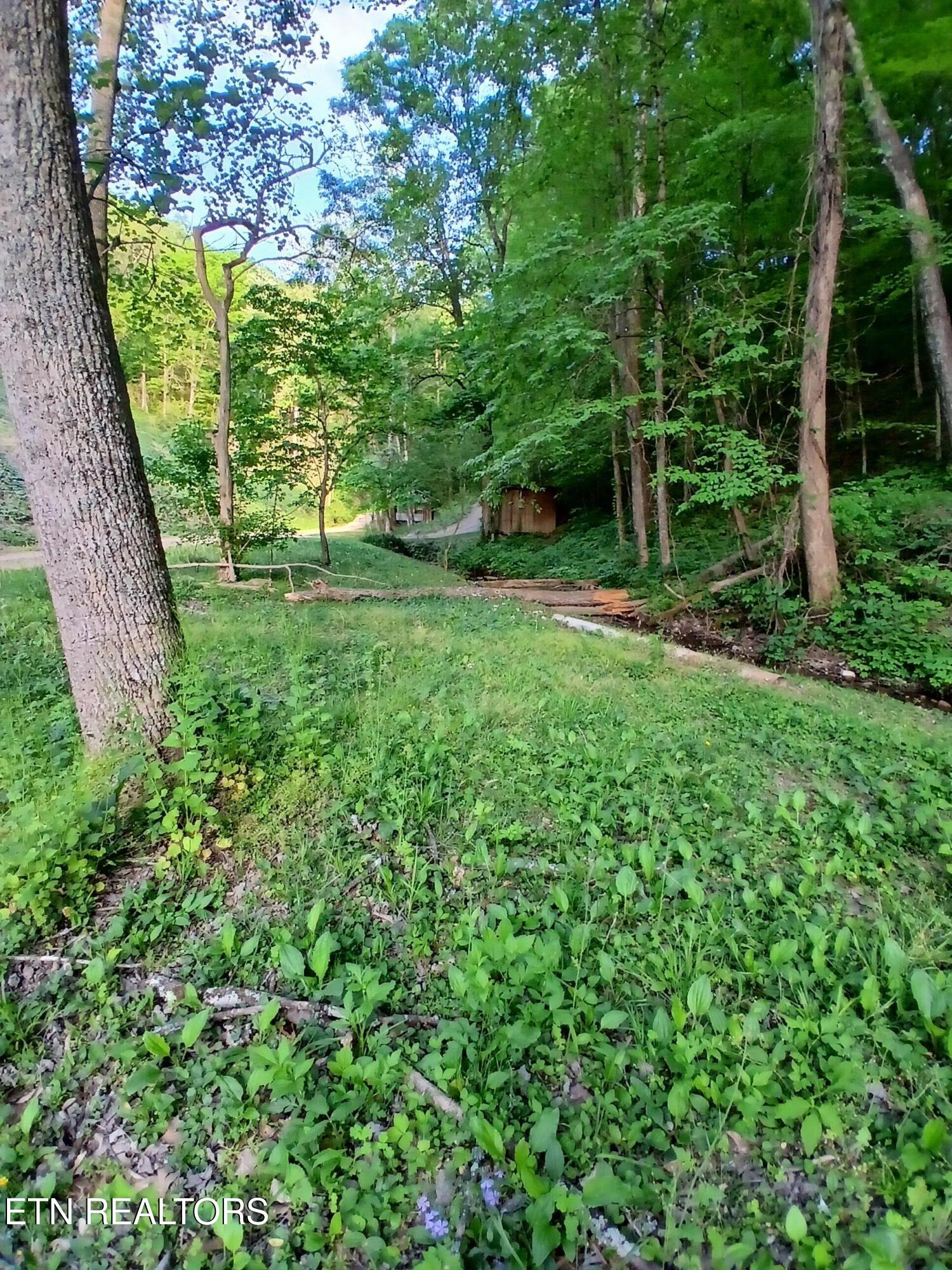 469 Brownlo Road Sneedville, TN 37869 - Photo 39 of 58 20260427_192553