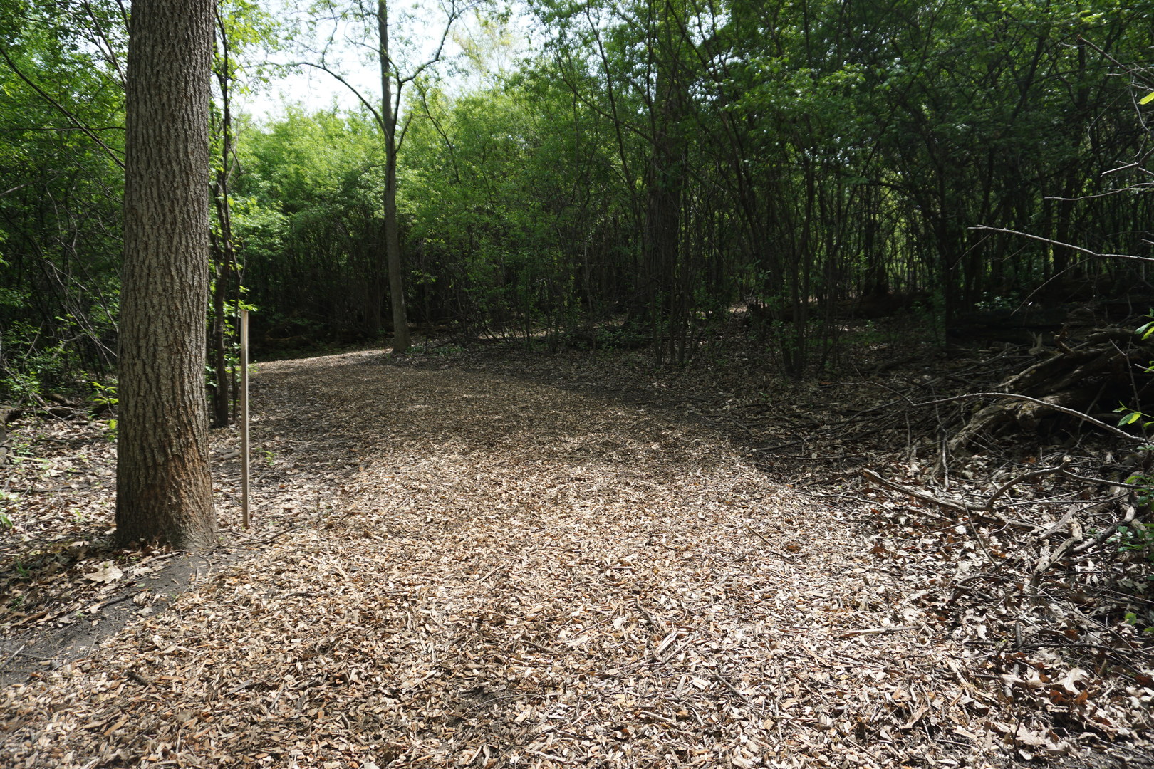 Lot 9 North Rainbow Road North Barrington, IL 60010 - Photo 12 of 20 a view of a yard with trees in the background