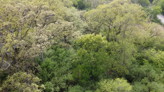 a black and white photo of a painting