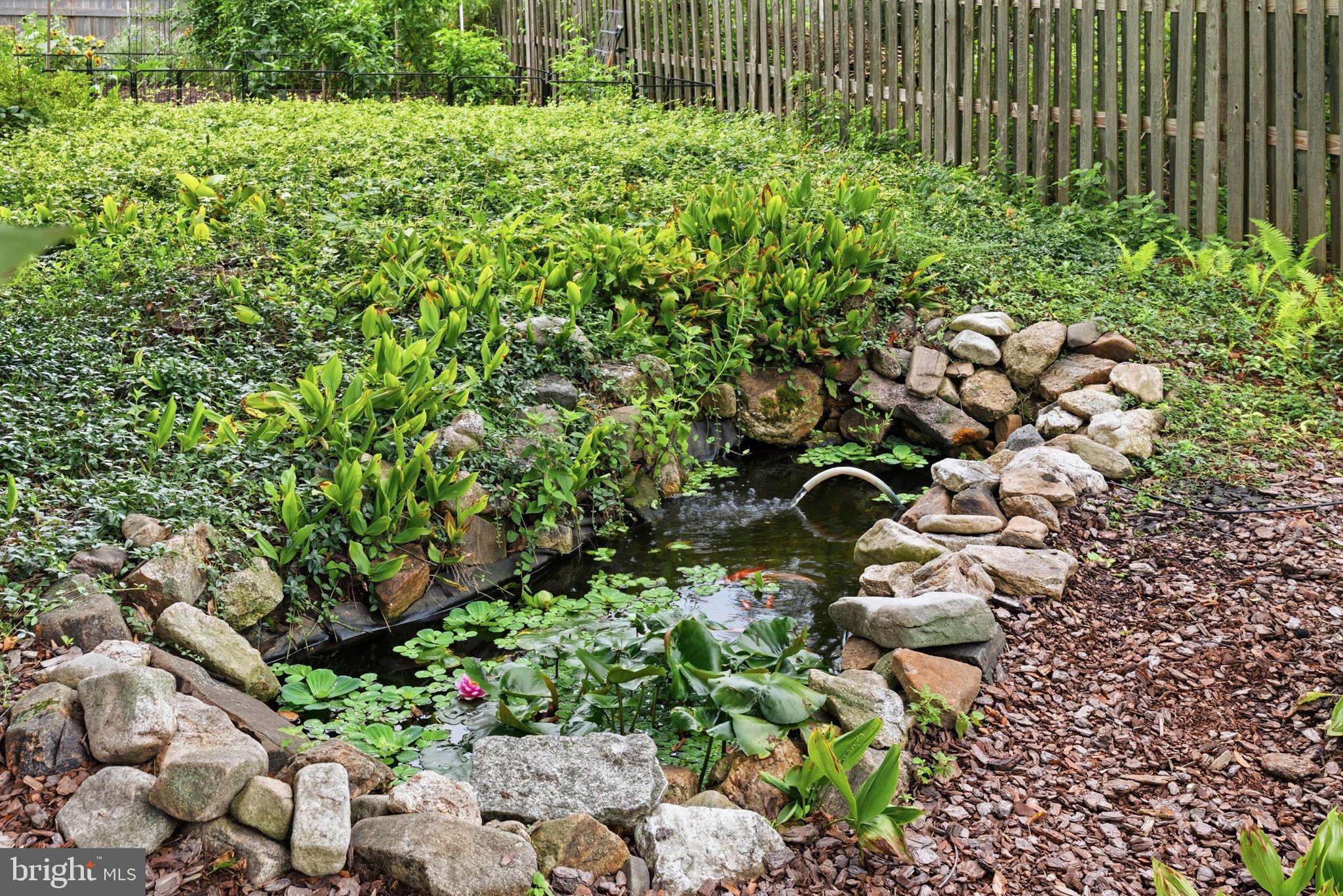 114 Ivory Road Phoenixville, PA 19460 - Photo 53 of 56 Fish Pond